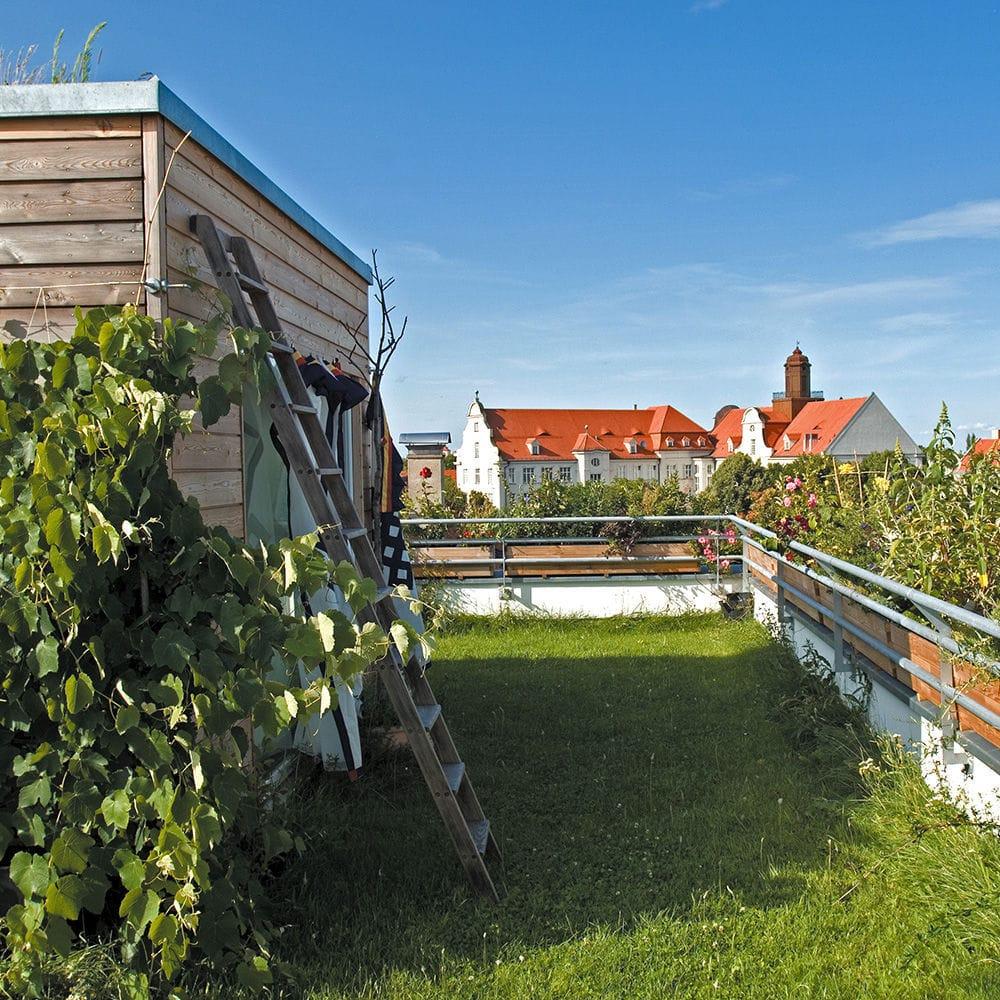 jardin toit